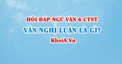 Văn nghị luận là gì? lí lẽ, bằng chứng trong văn nghị luận là gì? Ngữ văn lớp 6 CTST